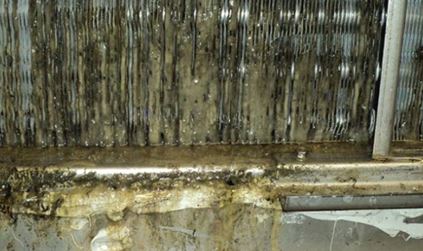 Dirty air conditioner coils are good conditions for Legionella to live and grow