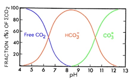 Tỉ lệ CO2, HCO3 và CO3 quy đổi tương hỗ tùy theo pH của nước